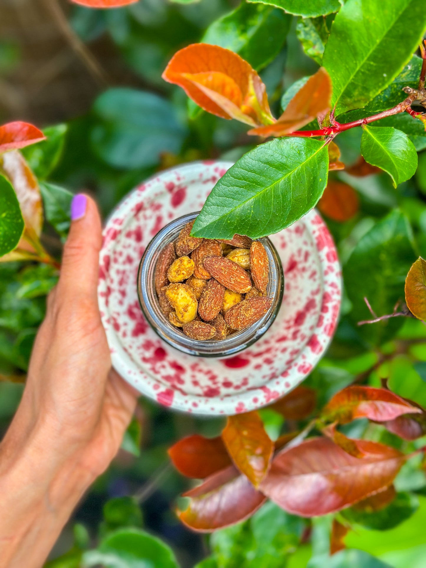 Masala | Cashews & Almonds